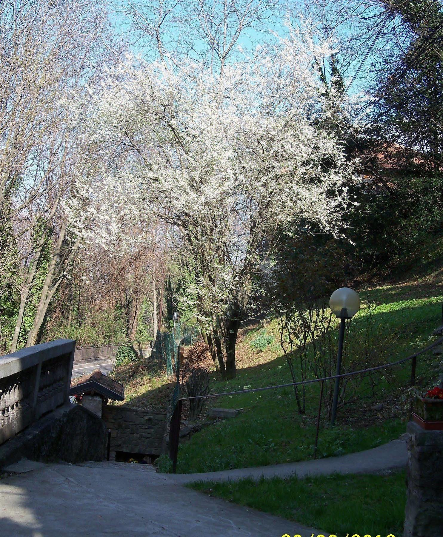 B&B I Ghiri Bergamo Kültér fotó